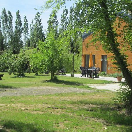 Florennes Gite Neuf 150 M2 Devant Un Grand Lac Prive De 2 Hectares Poissonneux Au Milieu Des Bois Exteriör bild
