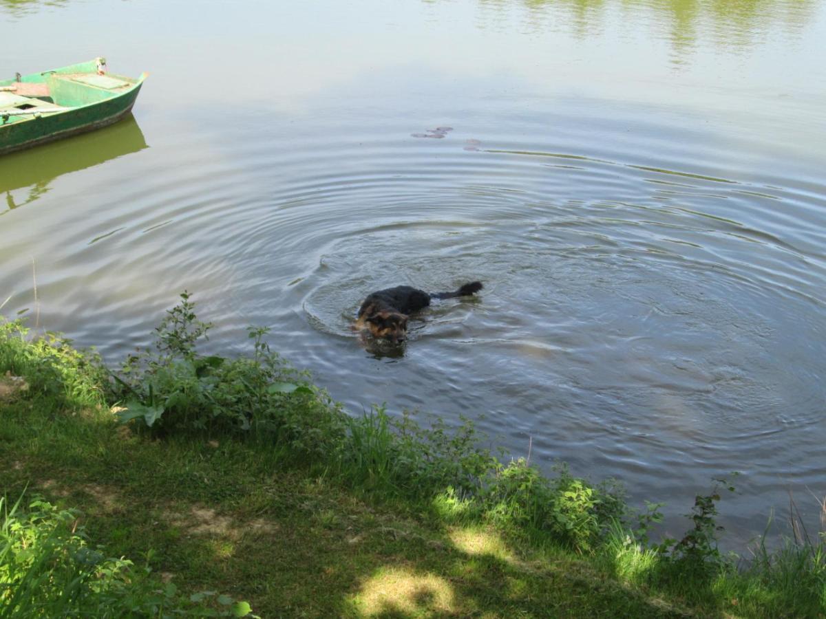 Florennes Gite Neuf 150 M2 Devant Un Grand Lac Prive De 2 Hectares Poissonneux Au Milieu Des Bois Exteriör bild