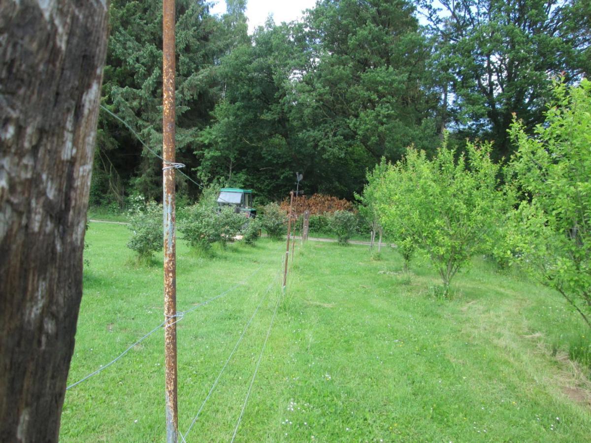Florennes Gite Neuf 150 M2 Devant Un Grand Lac Prive De 2 Hectares Poissonneux Au Milieu Des Bois Exteriör bild