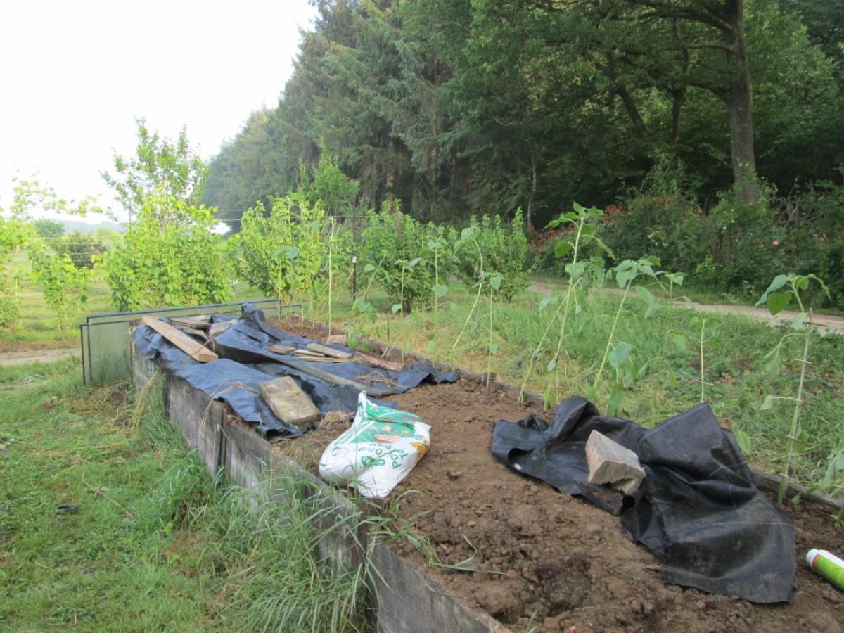 Florennes Gite Neuf 150 M2 Devant Un Grand Lac Prive De 2 Hectares Poissonneux Au Milieu Des Bois Exteriör bild