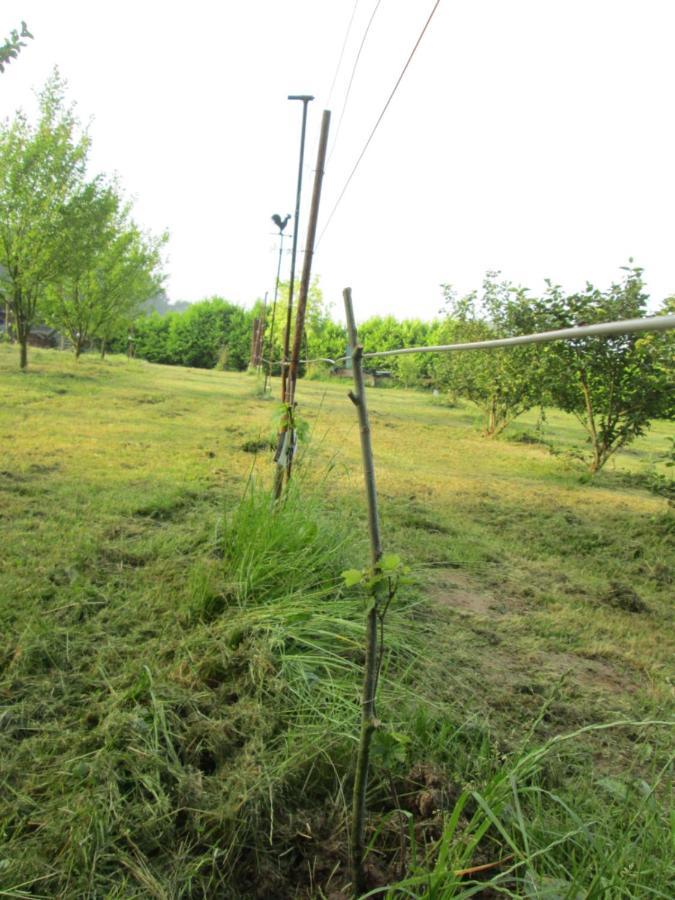 Florennes Gite Neuf 150 M2 Devant Un Grand Lac Prive De 2 Hectares Poissonneux Au Milieu Des Bois Exteriör bild