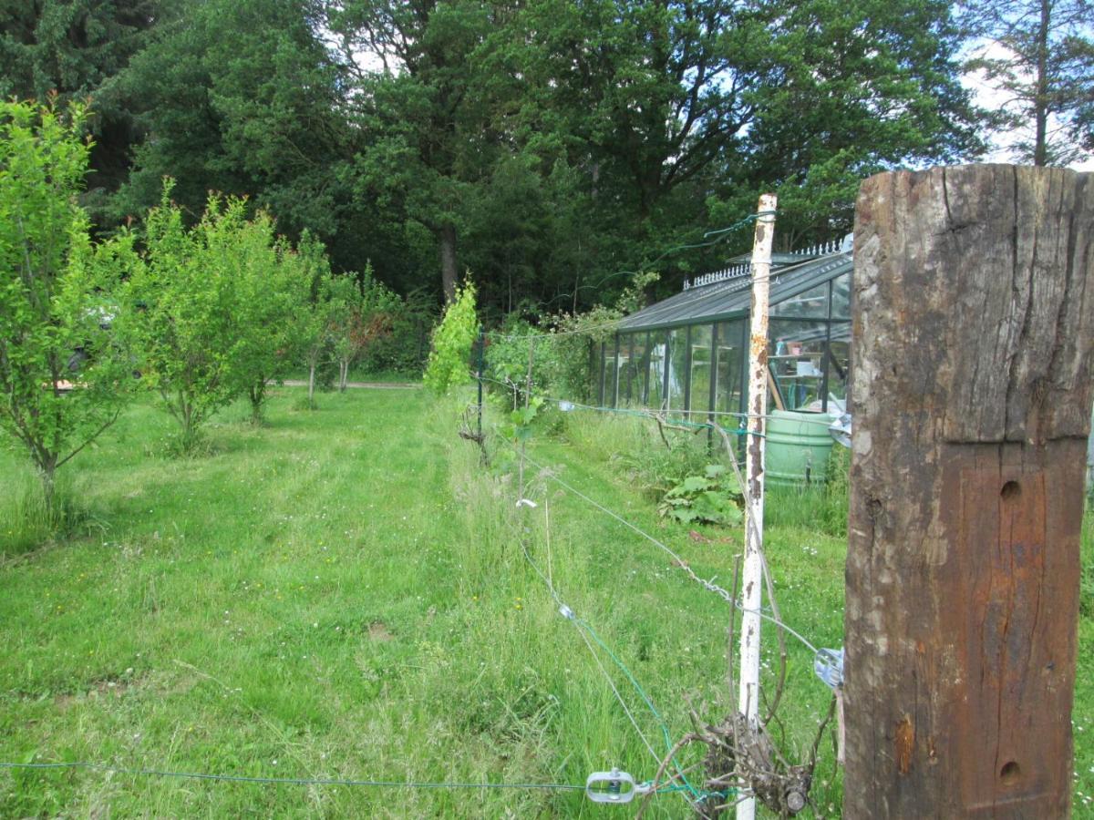 Florennes Gite Neuf 150 M2 Devant Un Grand Lac Prive De 2 Hectares Poissonneux Au Milieu Des Bois Exteriör bild
