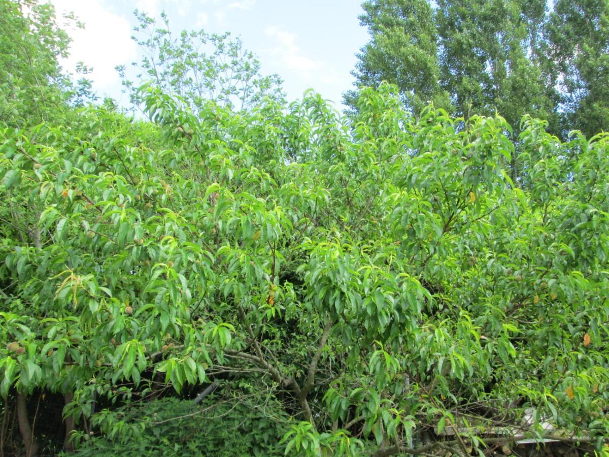 Florennes Gite Neuf 150 M2 Devant Un Grand Lac Prive De 2 Hectares Poissonneux Au Milieu Des Bois Exteriör bild