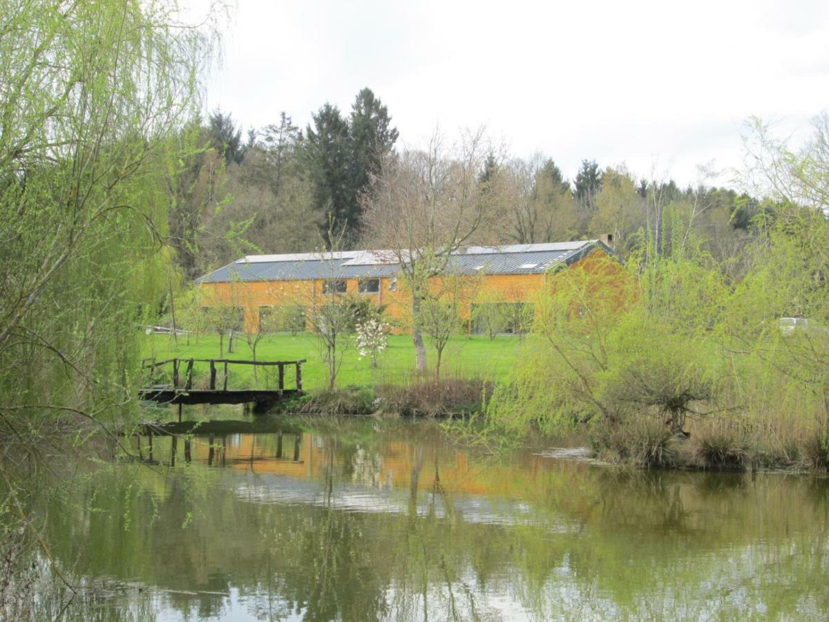 Florennes Gite Neuf 150 M2 Devant Un Grand Lac Prive De 2 Hectares Poissonneux Au Milieu Des Bois Exteriör bild
