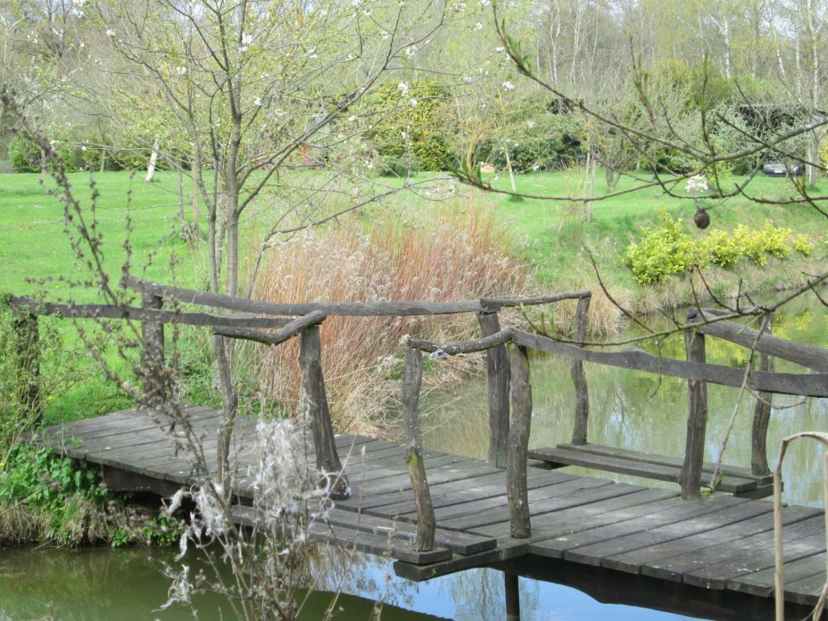 Florennes Gite Neuf 150 M2 Devant Un Grand Lac Prive De 2 Hectares Poissonneux Au Milieu Des Bois Exteriör bild