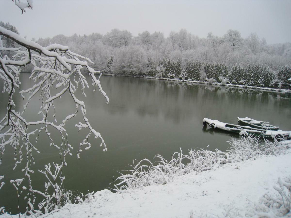 Florennes Gite Neuf 150 M2 Devant Un Grand Lac Prive De 2 Hectares Poissonneux Au Milieu Des Bois Exteriör bild