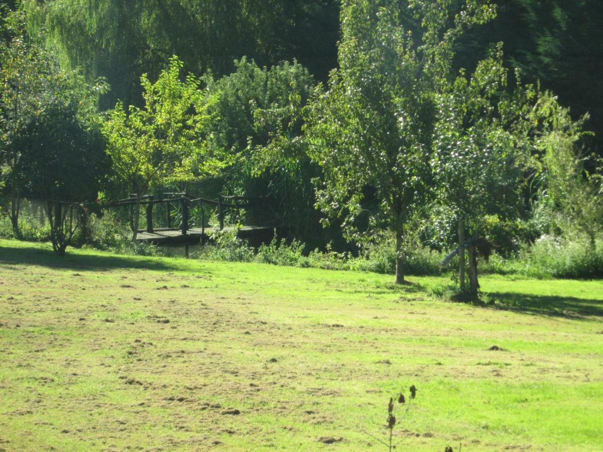 Florennes Gite Neuf 150 M2 Devant Un Grand Lac Prive De 2 Hectares Poissonneux Au Milieu Des Bois Exteriör bild