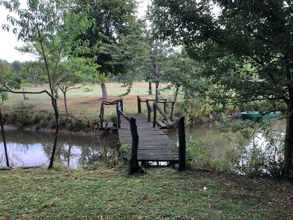 Florennes Gite Neuf 150 M2 Devant Un Grand Lac Prive De 2 Hectares Poissonneux Au Milieu Des Bois Exteriör bild