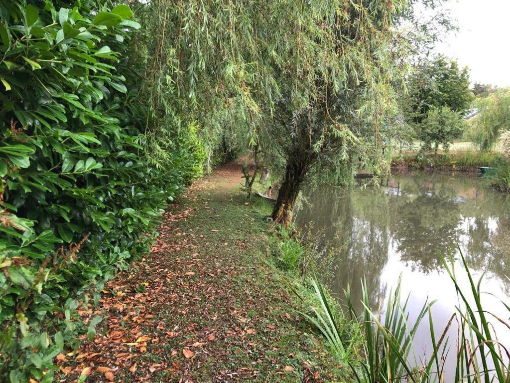 Florennes Gite Neuf 150 M2 Devant Un Grand Lac Prive De 2 Hectares Poissonneux Au Milieu Des Bois Exteriör bild